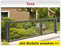 Tore Tore