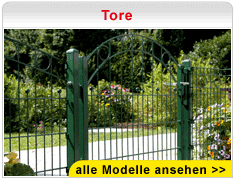 Tore