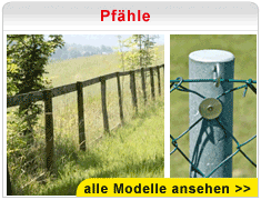 Pfähle Pfähle