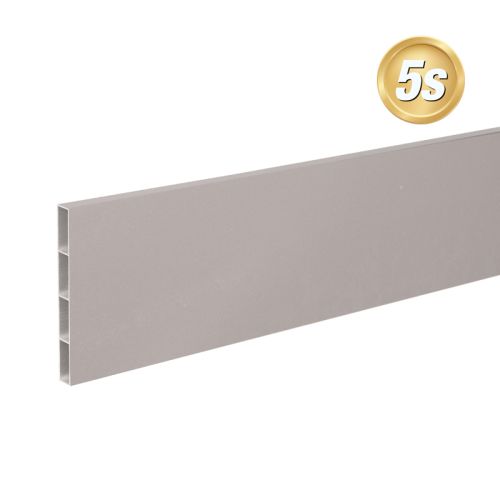 Alu Querlatte 20 x 200 mm - Farbe: dunkelgrau 5S, Länge: 250 cm, Höhe: 20 cm