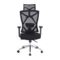 Bürostuhl Nova - Abmessungen: 65 x 116-126,5 x 80 cm, Farbe: schwarz