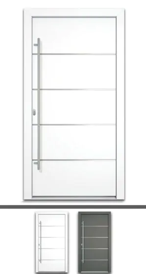 Aluminiumtür Mod. Saturn - 1100 x 2100 mm (B x H)