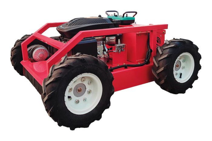 Rasenmäher mit Fernbedienung - Mod. RM-1