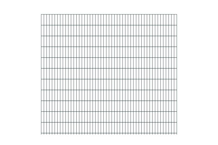 Doppelstabmattenzaun David 6/5/6 mm - Ausführung: anthrazit beschichtet, Höhe: 223 cm, Länge: 251 cm