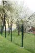 Gitterzaun Foxx - Rollenlänge: 25 m, Höhe: 102 cm, Farbe: grün