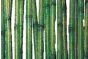 Verbundsicherheitsglas 2 x 4 mm - Ausführung: Spezial - E4 Bambus, Glasart: ESG, Hinweis: Preis/m²