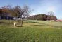 Weidezaun 50 m Set Taurus leicht - Höhe: 100 cm, inkl. 25 Z-Pfosten, Horizontaldrähte: 16