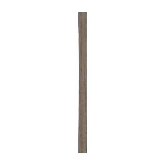 Abdeckung für Setzstufe 200 x 12 x 1 mm, 2 Stück - Modell: PUCCINI Esche grau