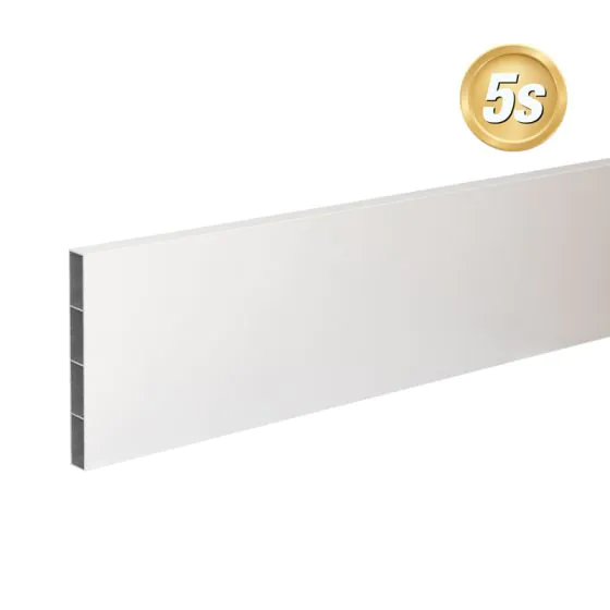 Alu Querlatte 20 x 200 mm - Farbe: grau 5S, Länge: 250 cm, Höhe: 20 cm