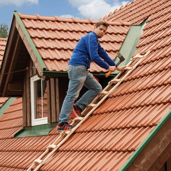 Holz Dachleiter - Sprossenzahl: 10, Länge: 2,80 m