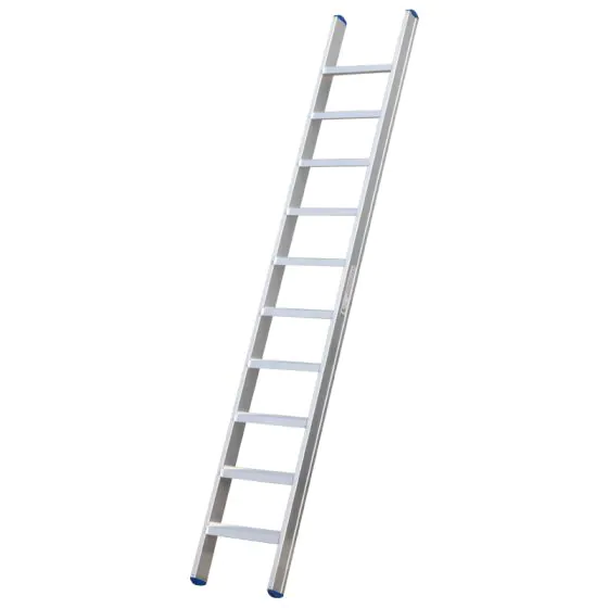 Stufenanlegeleiter Goldpunkt Mod. 0200 - Stufenanzahl: 10, Länge: 2,53 m