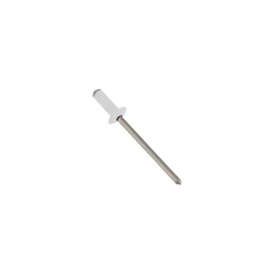  Nieten 4 x 10 mm - Farbe: weiß, Stück: 1