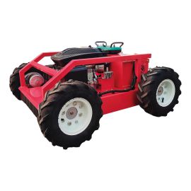 Rasenmäher mit Fernbedienung - Mod. RM-1