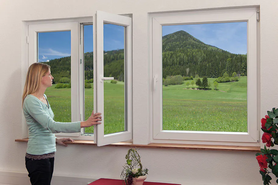 006-Fenster
